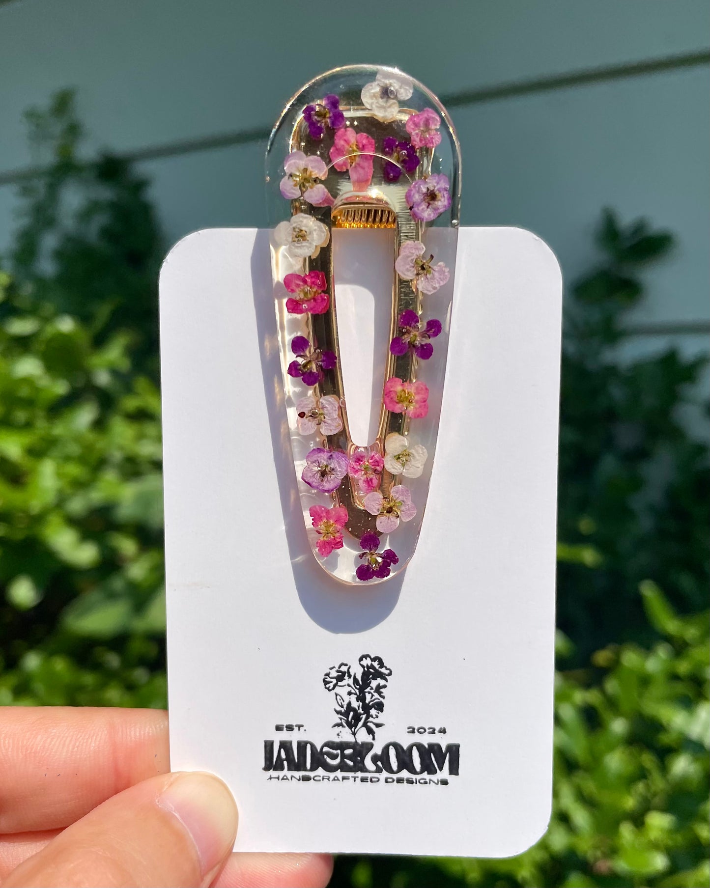 Alyssum Barrette