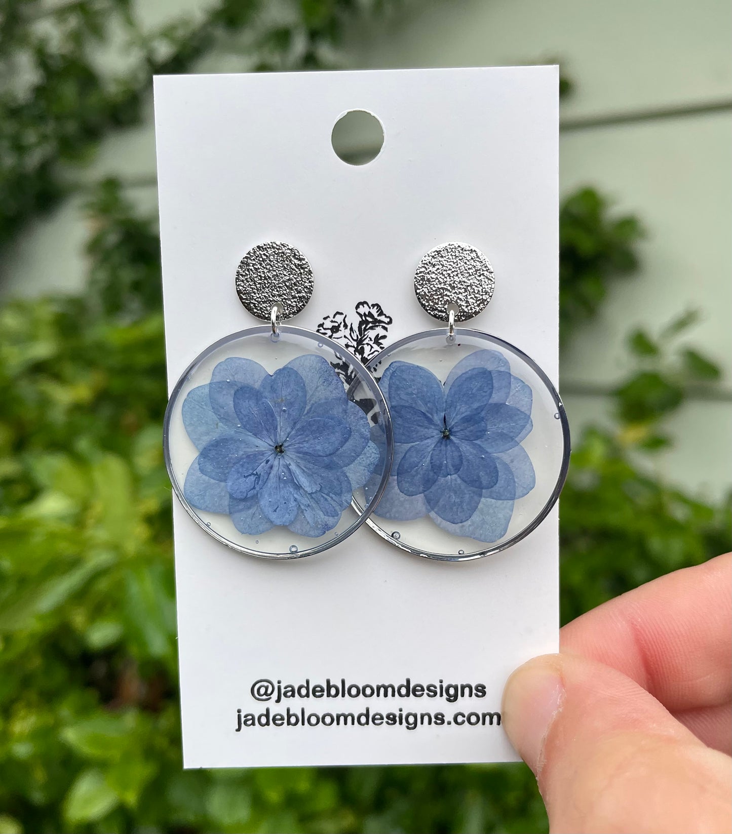 Silver Hydrangeas