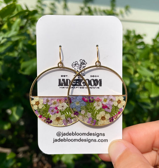 Alyssum Wildflowers