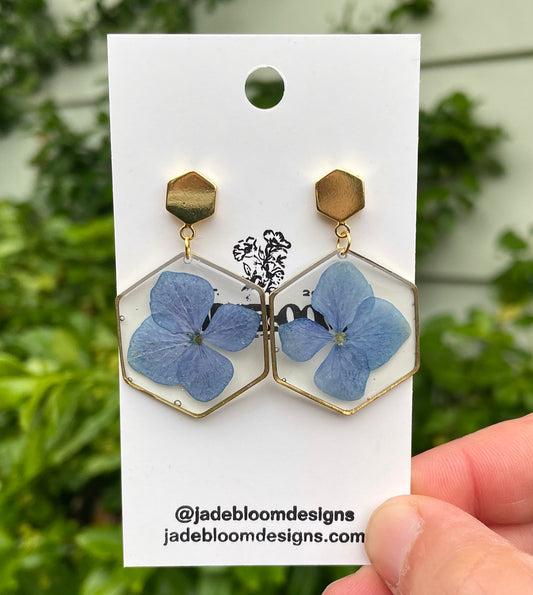 Hydrangea hexagons