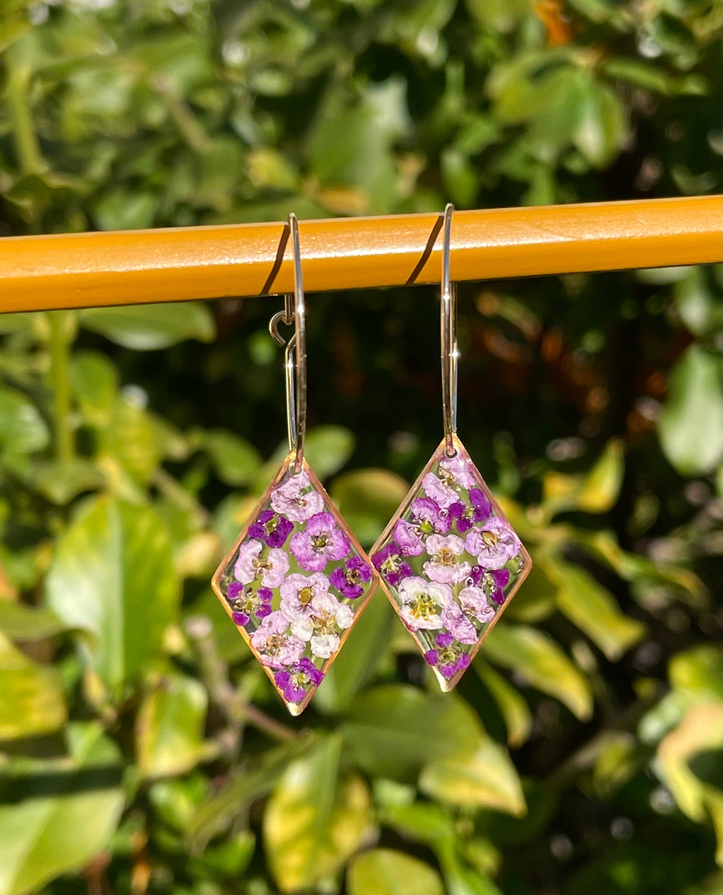 Alyssum Diamonds