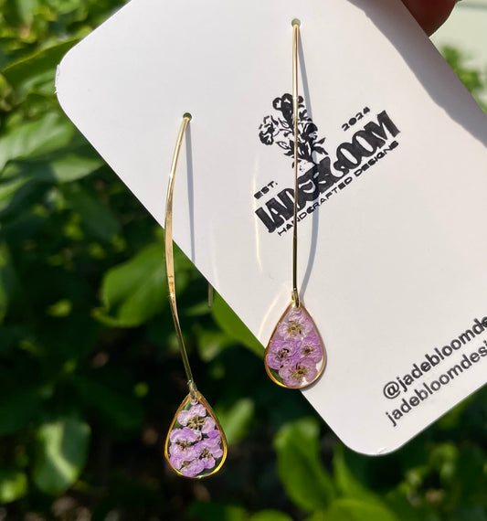 Alyssum teardrops